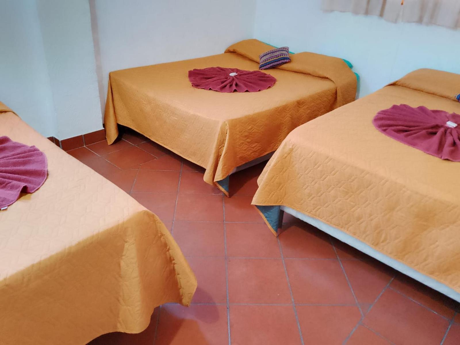Hostal Dulces Suenos 帕纳哈切尔 外观 照片